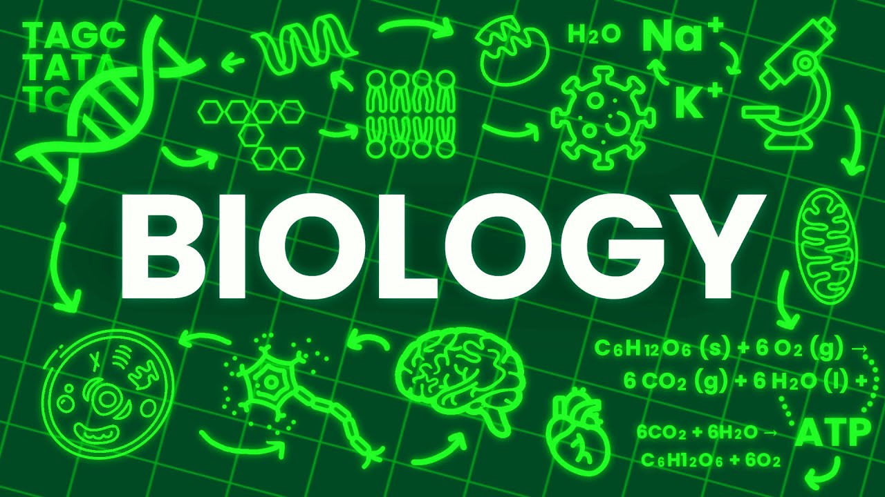 Biology Exam