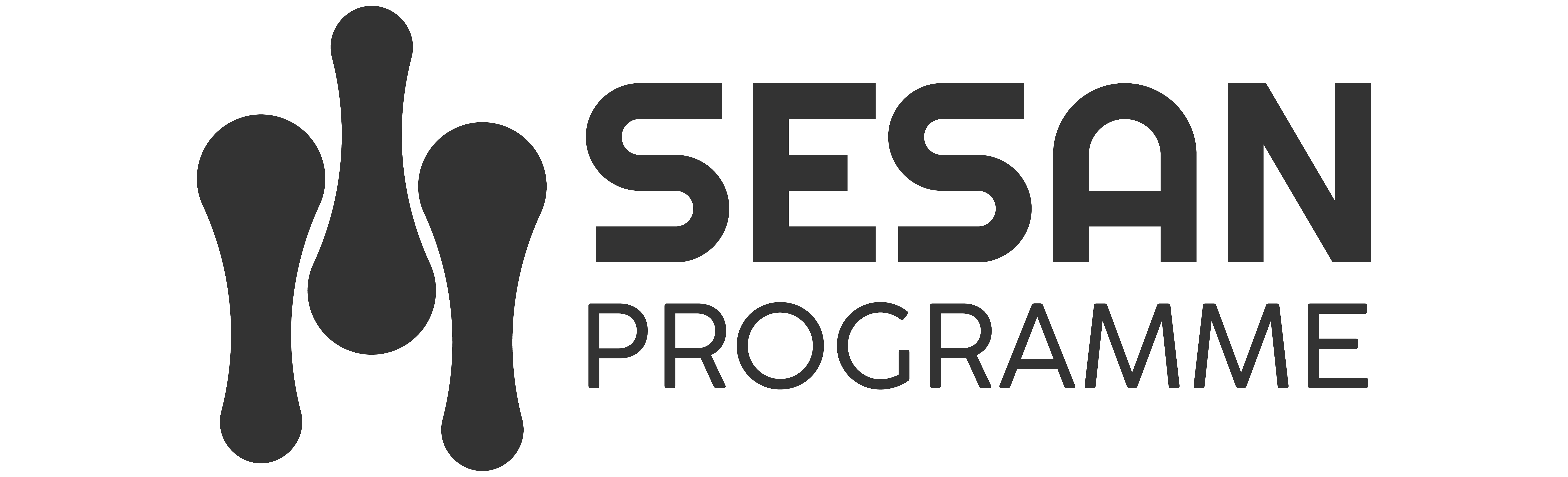Sesan Programme Logo-01